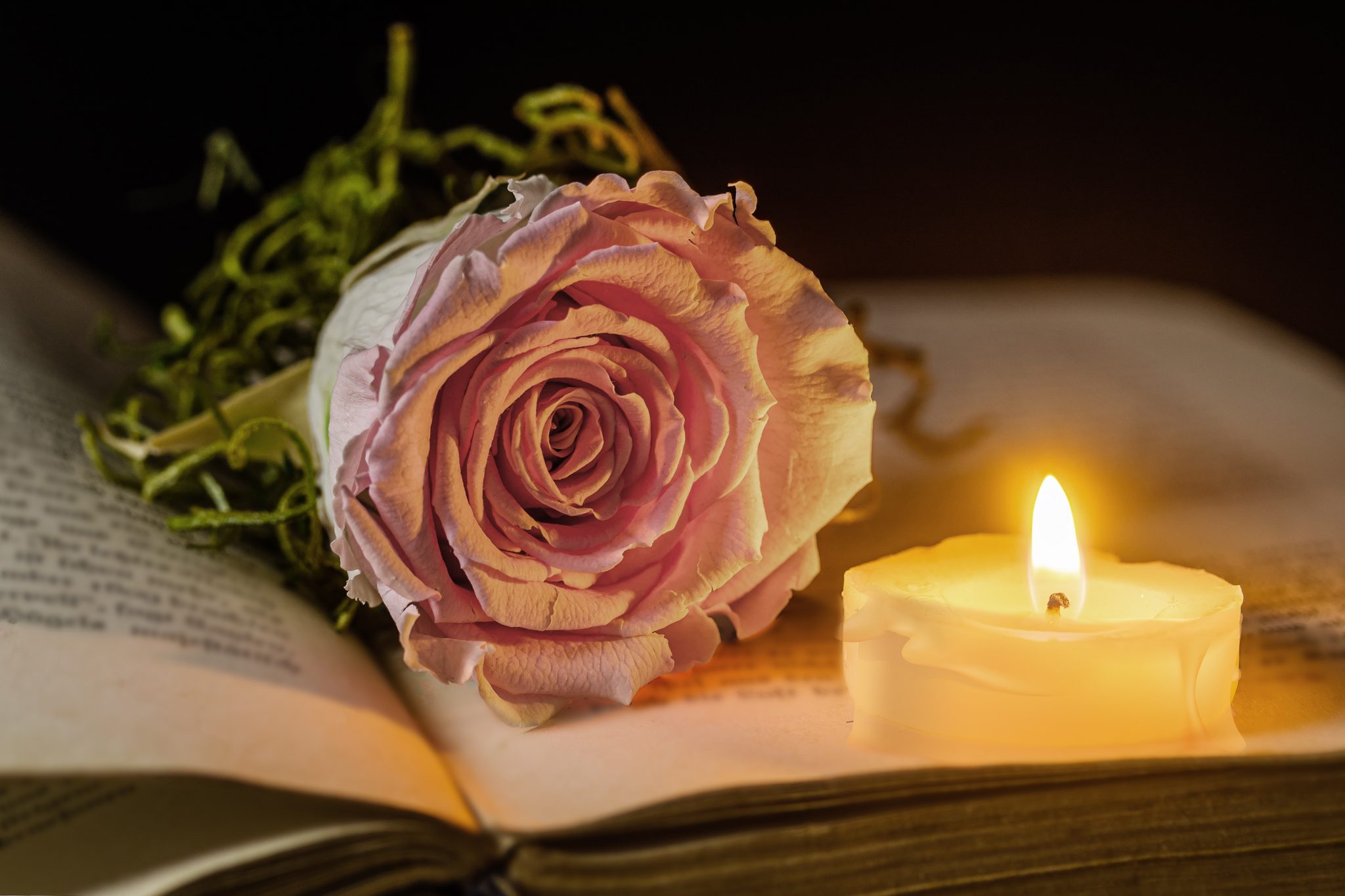 Ter nagedachtenis aan Annemarie Geerestein